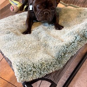 Meet your Posher, Marta